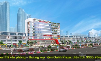 Bất động sản thương mại dịch vụ được săn đón