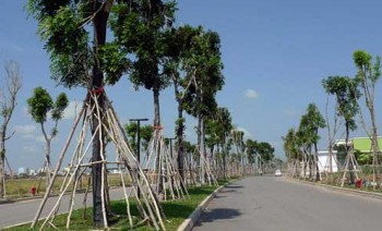 Đất Tây Sài Gòn đua nhau tăng giá