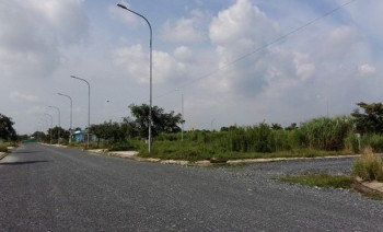 Nhiều nhà đầu tư đổ xô 