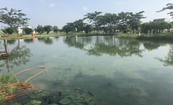   KHÔNG NHU CẦU BÁN LẠI ĐẤT BIỆT THỰ NGHỈ DƯỠNG ĐƯỜNG NGUYỄN HỮU TRÍ VIEW SÔNG MÁT MẺ GIÁ CHỈ 6tr/m2.